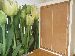 casas minimalistas prefabricadas