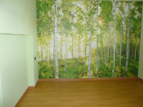 casas minimalistas prefabricadas